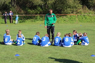 开云足球-美国队在国际乒联混合团体世界杯中的出色表现与战术布局，美国队乒乓球选手